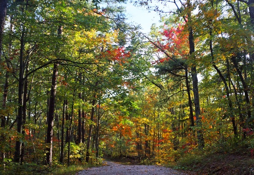 Old Auxier Ridge Road